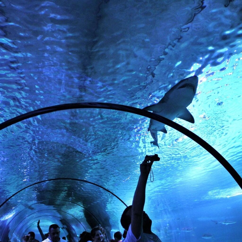Aqua Vega Akvaryum